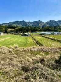 Slow Down Summer: Soulful Solo Ride to Yufuin