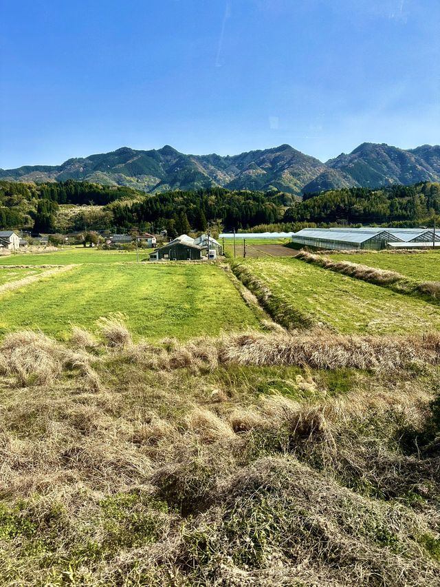 Slow Down Summer: Soulful Solo Ride to Yufuin