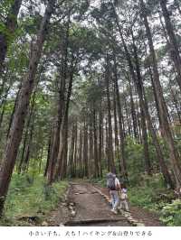 【埼玉登山】初心者に優しい山選びは日高市の標高300m子ども&犬とも楽しめる日和田山！