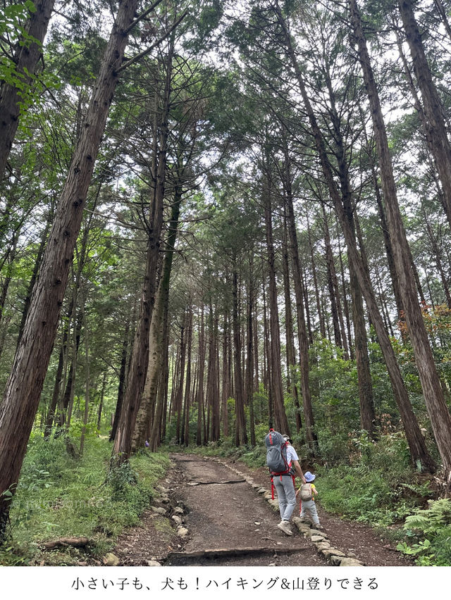 【埼玉登山】初心者に優しい山選びは日高市の標高300m子ども&犬とも楽しめる日和田山！