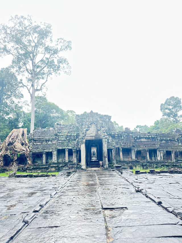 Prasat Preah Khan is a fascinating temple complex 