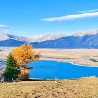 Stellar Views and Sky-High Vibes at Mount John Observatory