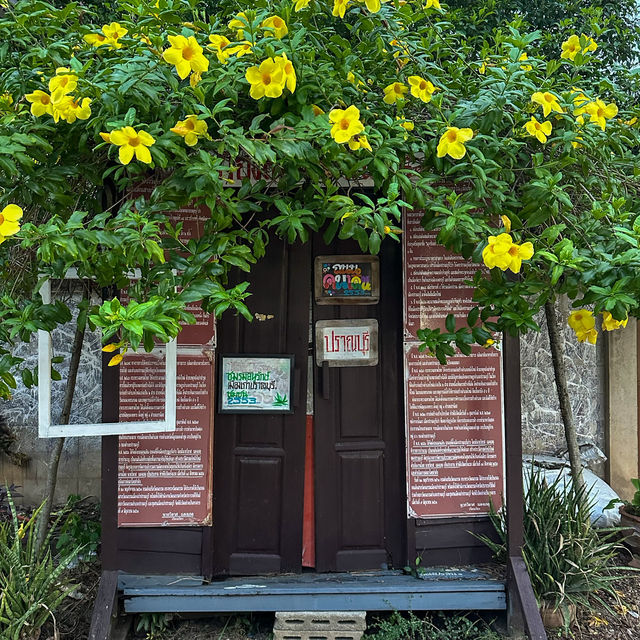 ถนนคนเดิน🥳เมืองเก่าปราณบุรี