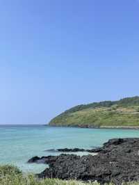 다채로운 매력의 바다, 여름엔 역시 제주! 🌊🏝️