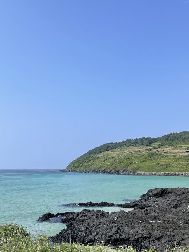 다채로운 매력의 바다, 여름엔 역시 제주! 🌊🏝️