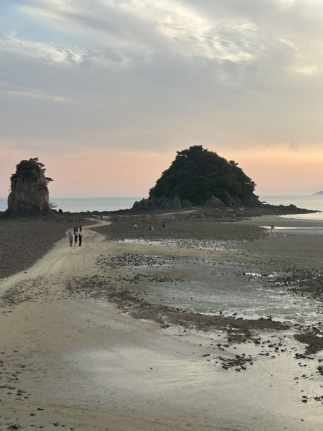 🌅 그림 같은 노을이 펼쳐지는 곳, 꽃지해수욕장