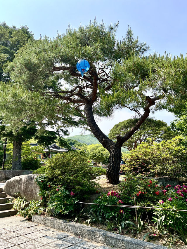 釜山梵魚寺
