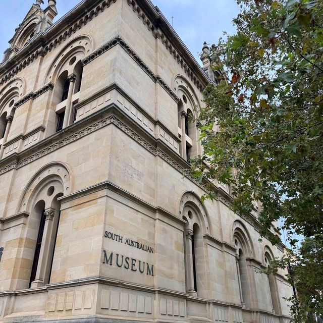 South Australian Museum – Adelaide, SA