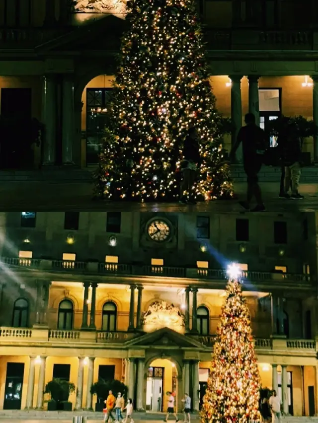 Sydney City Exploration – A Day Tour from City Highlights to Opera House and Harbor Bridge Night Views