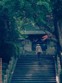 千本鳥居が目を惹く、東京の根津神社