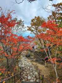 Chill Adventures at Seoraksan National Park Nature Center (Inje-gun Edition!)