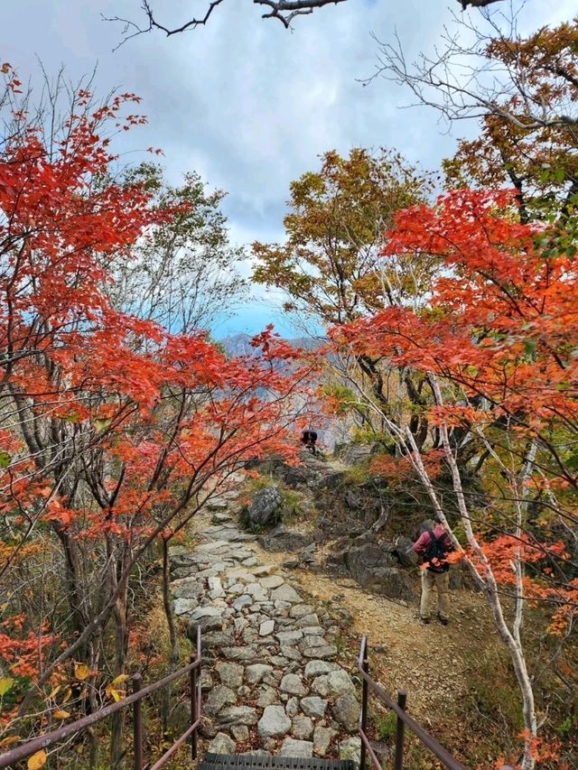 Chill Adventures at Seoraksan National Park Nature Center (Inje-gun Edition!)