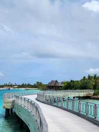 🌺 Waldorf Astoria Maldives Ithaafushi – Your Private Island Fantasy 🐬🌅