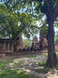 Wat Mahathat, Ayutthaya: A Memorable Day