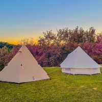 ลานกางเต็นท์สีชมพูฟีลโคตรดี ที่เชียงใหม่ 🌸🏠⛺️