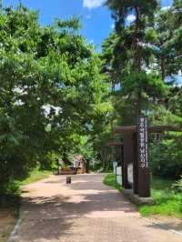 Climbing Gyeongju’s Namsan Geumobong Peak