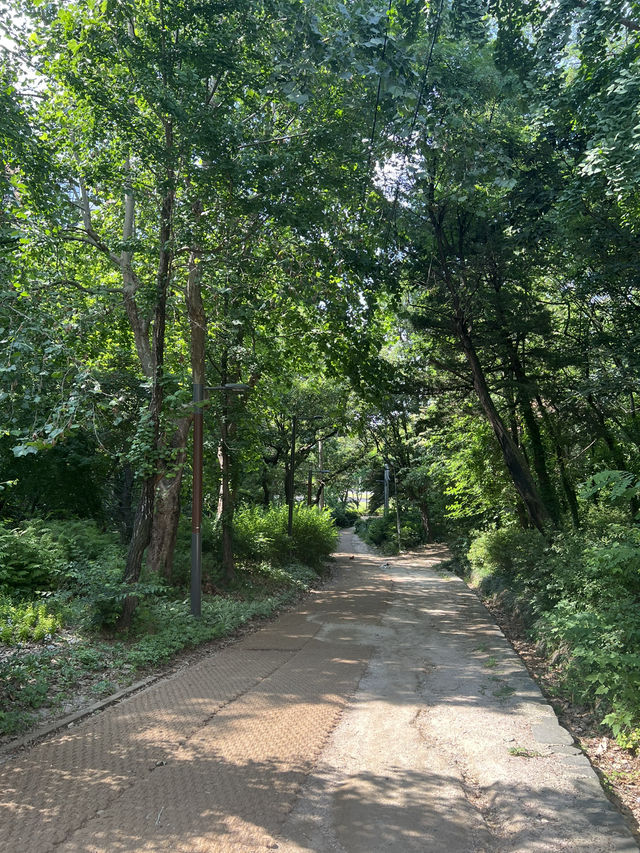 서울 둘레길 7코스