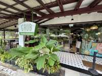 Paws, Pasta & Parkside Pleasures at Grub Bishan