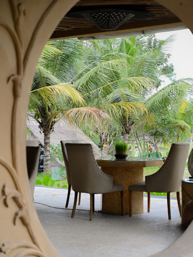 【BALI🇮🇩グルメ】ウブドのオシャレレストラン🍽️