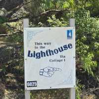 Western Australia Road Trip: Cape Naturaliste Lighthouse! 🐳