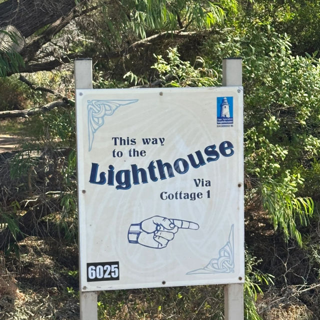 Western Australia Road Trip: Cape Naturaliste Lighthouse! 🐳