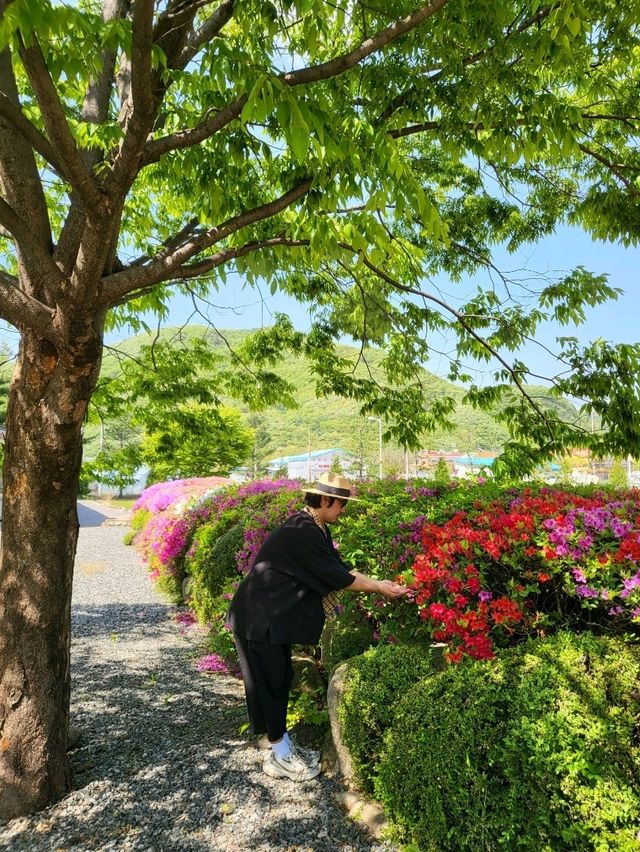 여유롭게 산책하기 좋은 괴산 힐링 여행지
