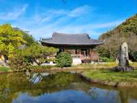 Wandering Around Sorokdo