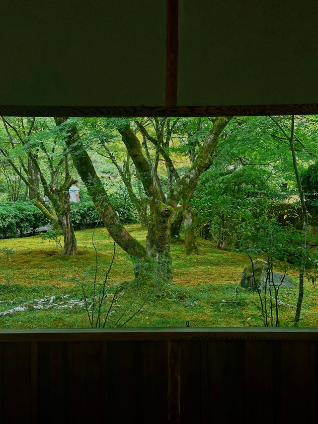 京都·西芳寺｜記憶裡的雨中苔島
