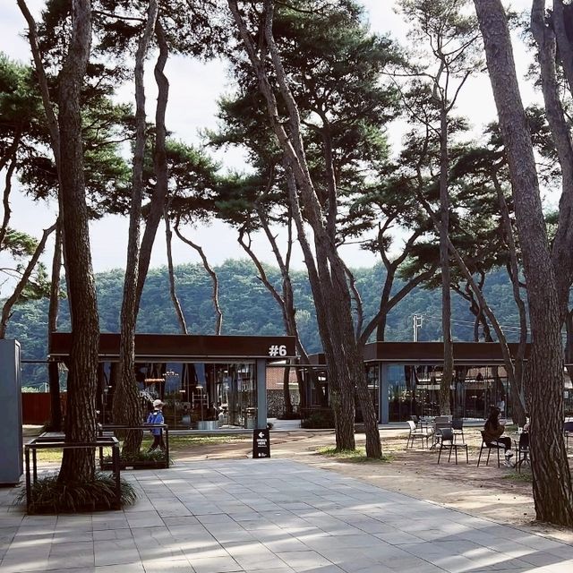 Soul Roastery Cafe