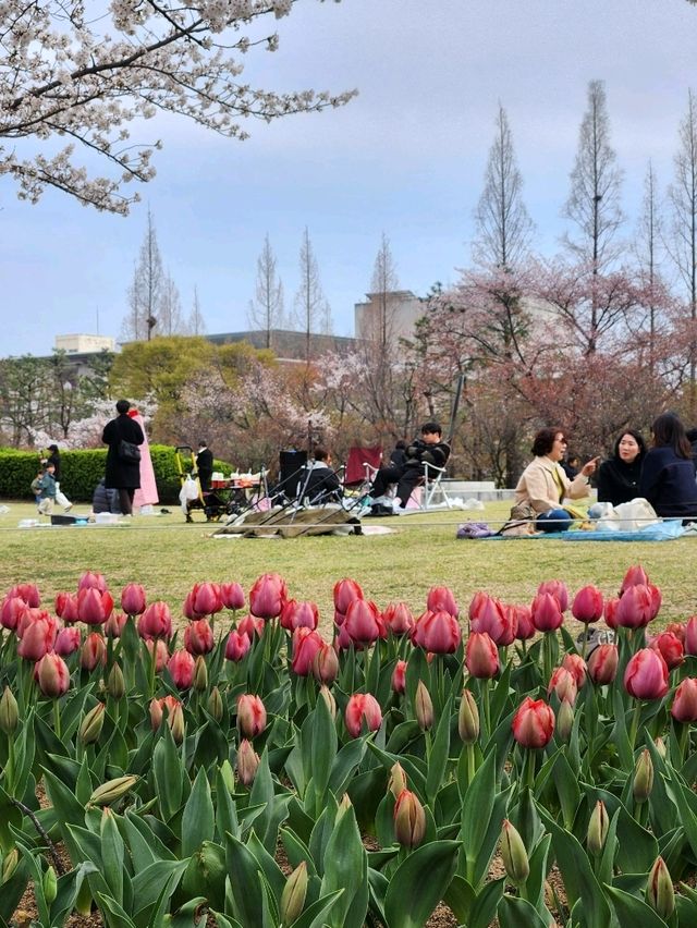 사계절 내내 나들이하기 좋은 김해연지공원⚘️
