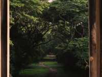 My 1st day in Angkor Wat