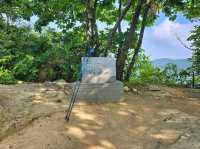 Forest Trails and Heroic Views in Wanju