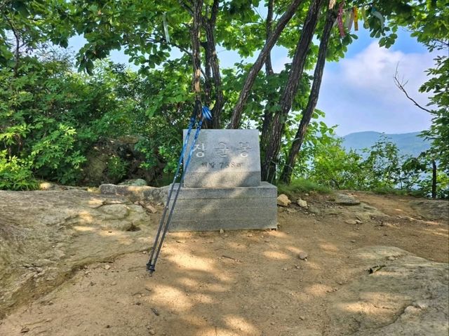 Forest Trails and Heroic Views in Wanju