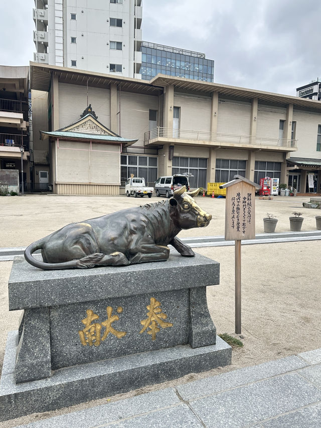 ศาลเจ้าศักดิ์สิทธิในฟุกุโอกะ 🇯🇵