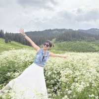 Bole 2 Days Itinerary
