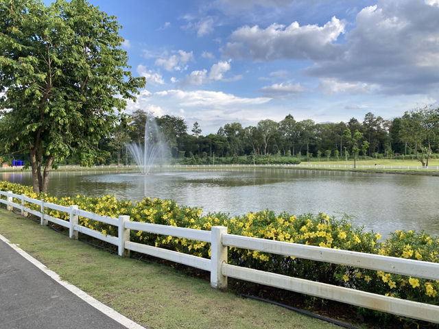 นั่งชมธรรมชาติสีเขียวที่สวนสาธารณะ “หนองเขียว“