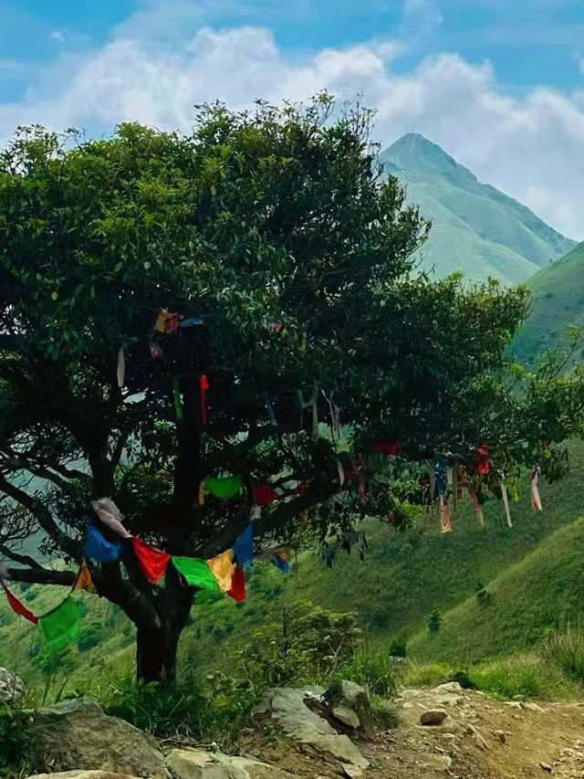 惠州｜廣東小武功——惠州大南山⛰️