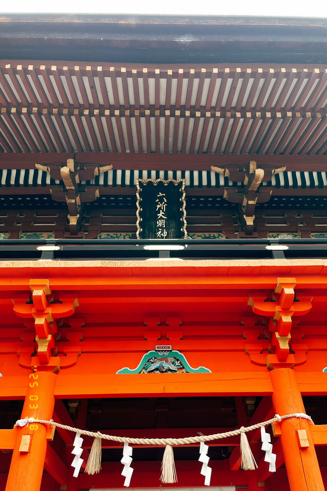 🚼松林中的祈願聖地：德川家康也來參拜的六所神社⛩️