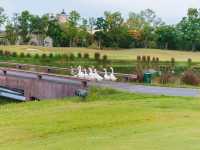 Rancho Charnvee Resort Khaoyai & CountryClub