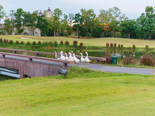 Rancho Charnvee Resort Khaoyai & CountryClub