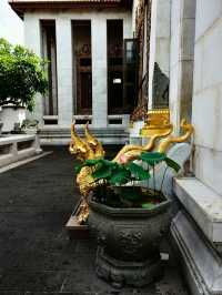 วัดบวรนิเวศวิหาร – ศูนย์รวมจิตใจกลางกรุง 
