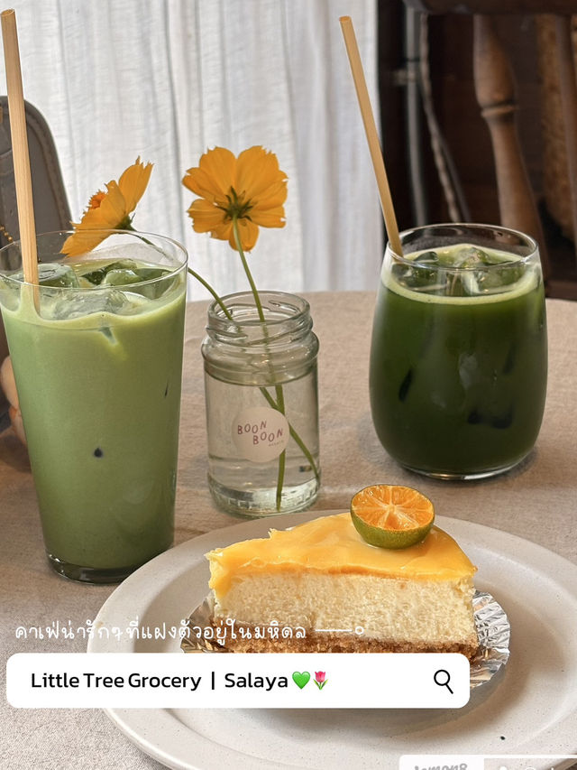Little tree grocery ม.มหิดล ศาลายา คาเฟ่เก๋ๆ 🪵🪹
