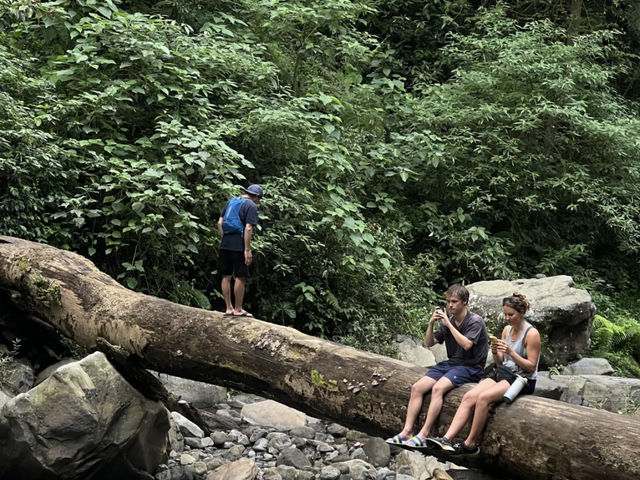 🌿 Lombok Waterfalls: Hike the Wild, See the Beautiful! 💦