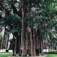 「シーマ・マラカヤ」—湖上に浮かぶ静寂の仏教寺院