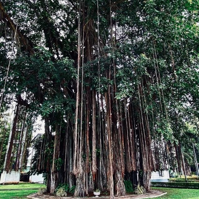 「シーマ・マラカヤ」—湖上に浮かぶ静寂の仏教寺院