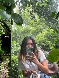 คาเฟ่ลับระยอง| บรรยากาศดี ในสวนผลไม้