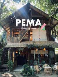PEMA Cafe - Chiangmai คาเฟ่ไม้ตกแต่งสไตล์ล้านนา