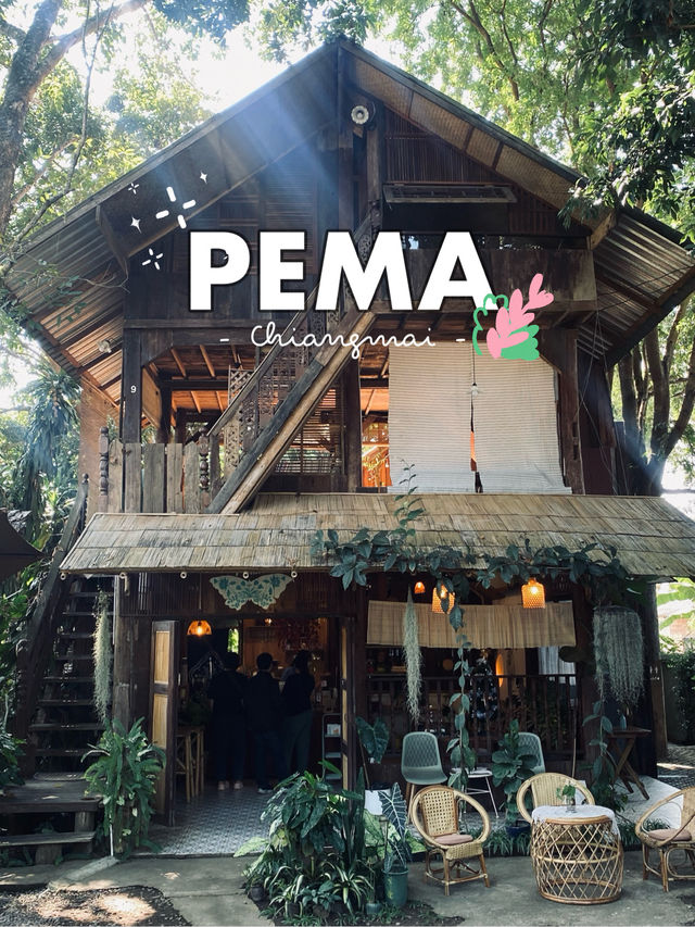 PEMA Cafe - Chiangmai คาเฟ่ไม้ตกแต่งสไตล์ล้านนา
