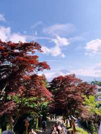 #trip富士山一日團