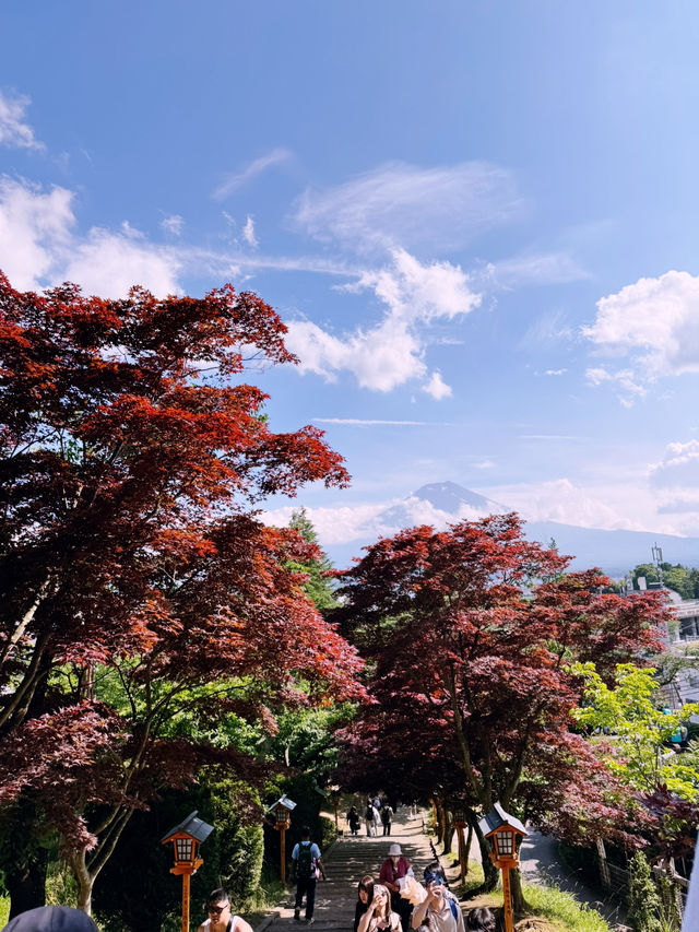 #trip富士山一日團